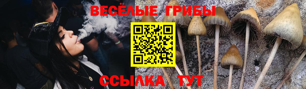 Сердобск  Галлюциногенные грибы GOLDEN TEACHER  Вход с VPN 